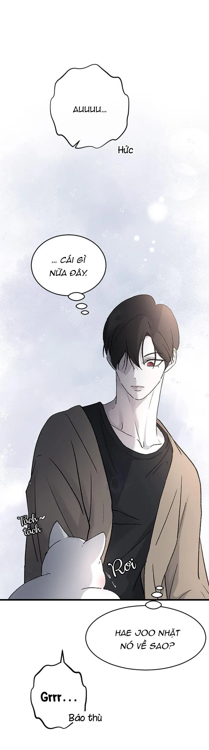 Ba Người Anh Trai Chapter 101 - Next Chapter 102