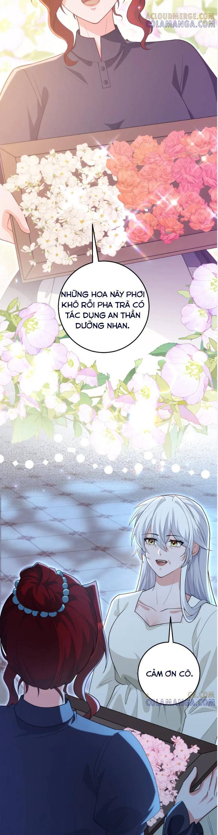 BA ÔNG ANH QUYỀN LỰC CỦA TÔI Chapter 36 - Next 