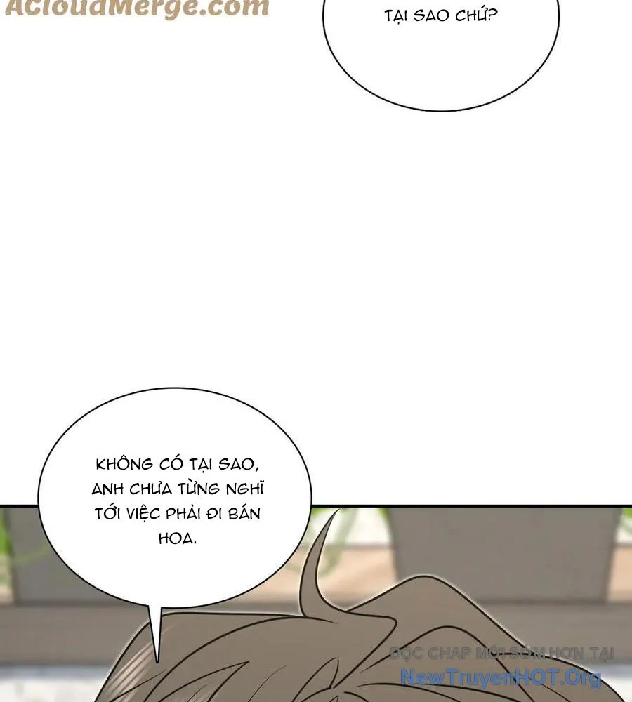 Bà Xã Nhà Tôi Đến Từ Ngàn Năm Trước Chapter 387 - Trang 3