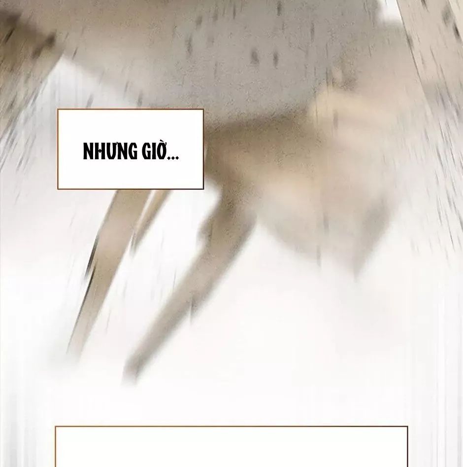 Bác Sĩ Phẫu Thuật Hoàn Hảo Chapter 102 - Next Chapter 103