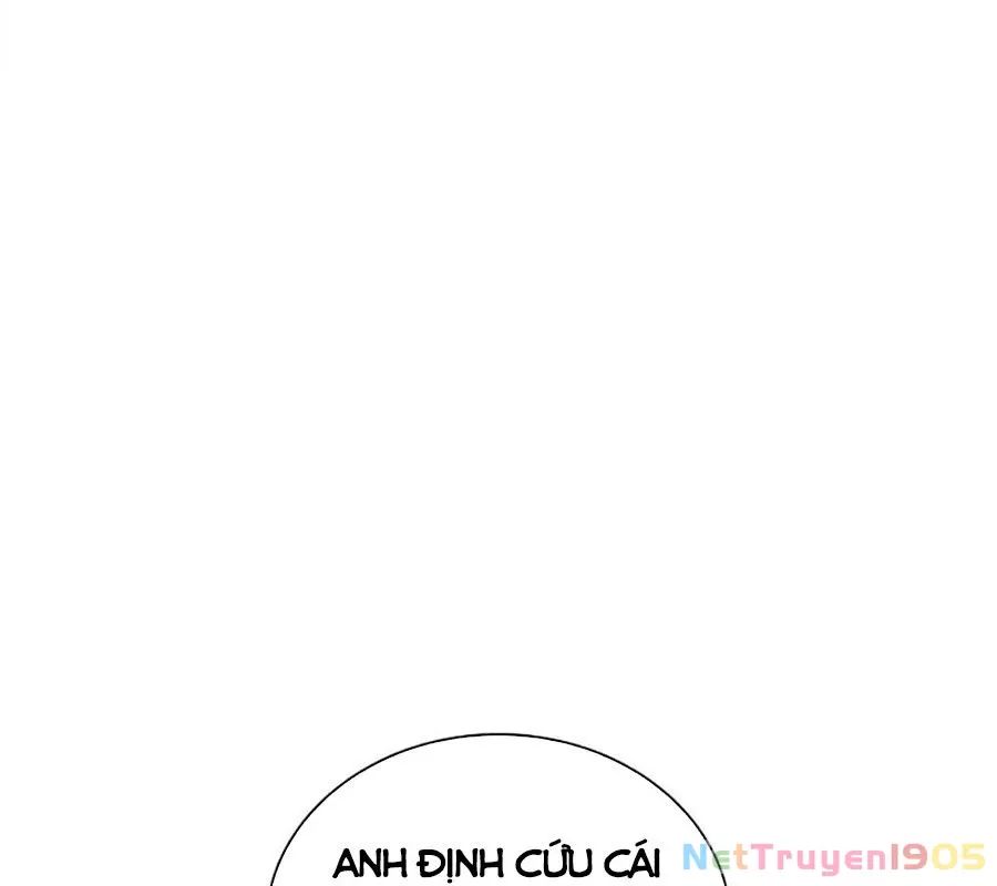 Bác Sĩ Phẫu Thuật Hoàn Hảo Chapter 97 - Next Chapter 98