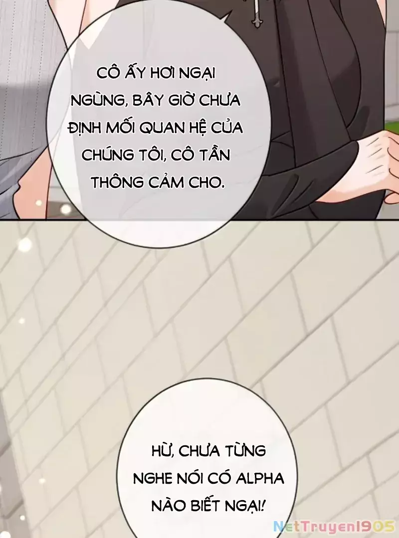 BẠCH NGUYỆT QUANG CÔ ẤY LUÔN MUỐN ĐÁNH DẤU TÔI Chapter 20 - Trang 2
