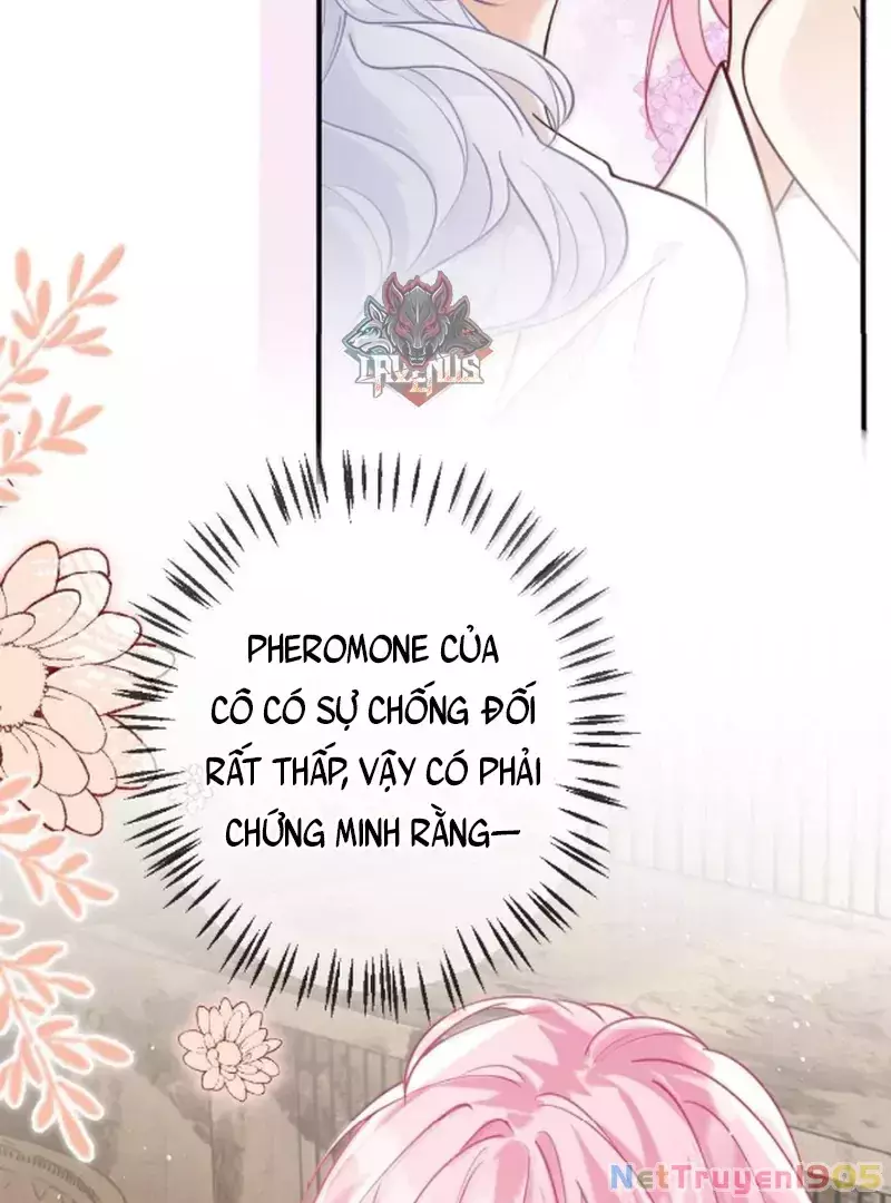 BẠCH NGUYỆT QUANG CÔ ẤY LUÔN MUỐN ĐÁNH DẤU TÔI Chapter 21 - Trang 2