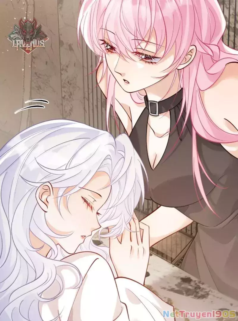 BẠCH NGUYỆT QUANG CÔ ẤY LUÔN MUỐN ĐÁNH DẤU TÔI Chapter 21 - Trang 2