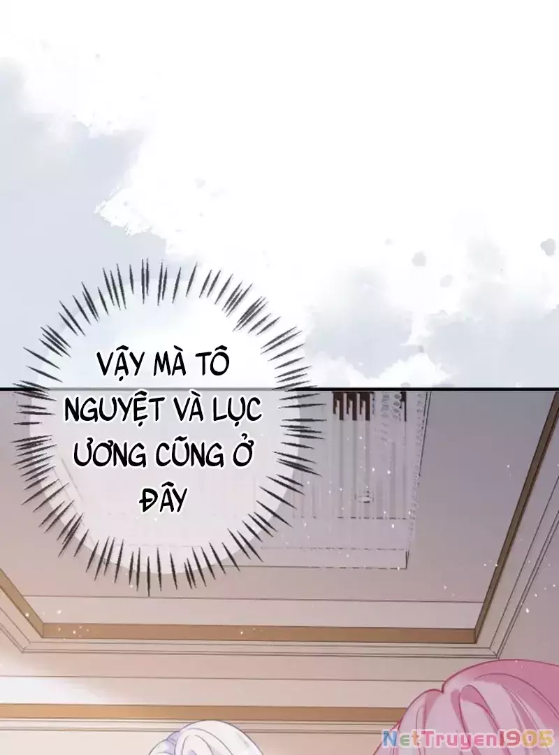 BẠCH NGUYỆT QUANG CÔ ẤY LUÔN MUỐN ĐÁNH DẤU TÔI Chapter 23 - Trang 2