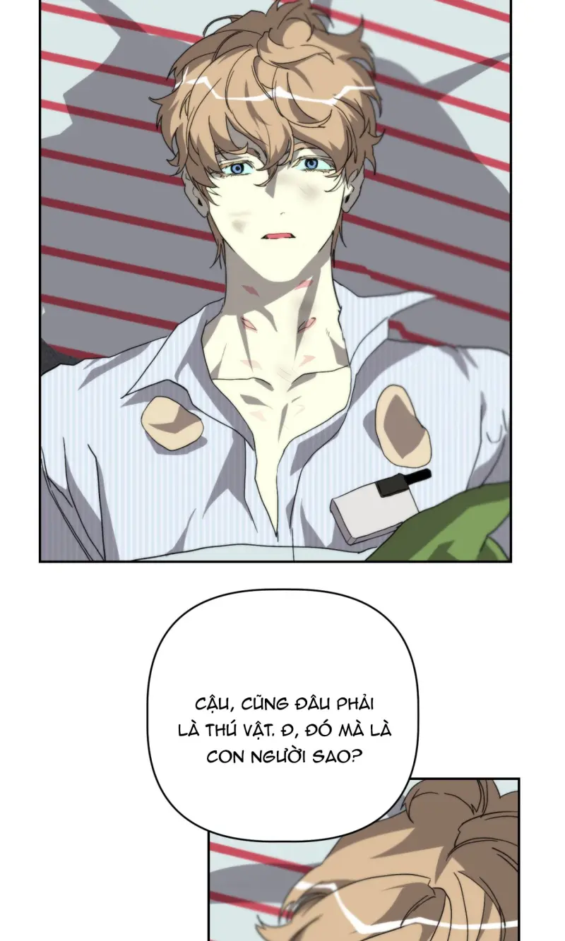 BẠN CÙNG LỚP MẪU GIÁO MẶT TRỜI Chapter 46 52