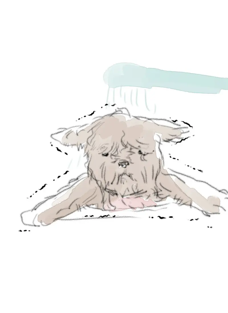 BẠN CÙNG LỚP MẪU GIÁO MẶT TRỜI Chapter 46 95