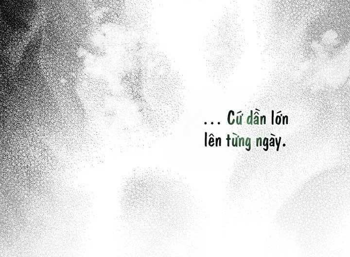 Bạn Đời Định Mệnh Chapter 21 - Trang 3