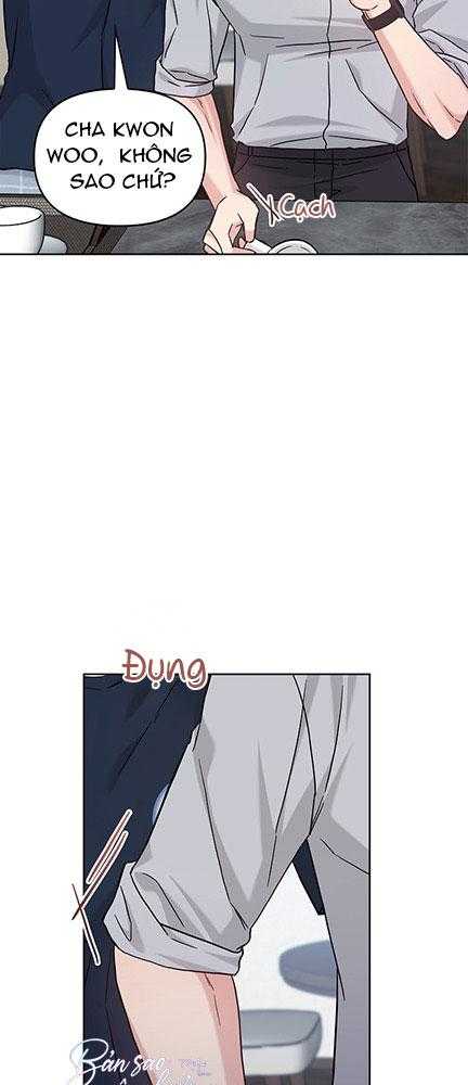 BẢN SAO ÂM HƯỞNG Chapter 56 - Trang 2