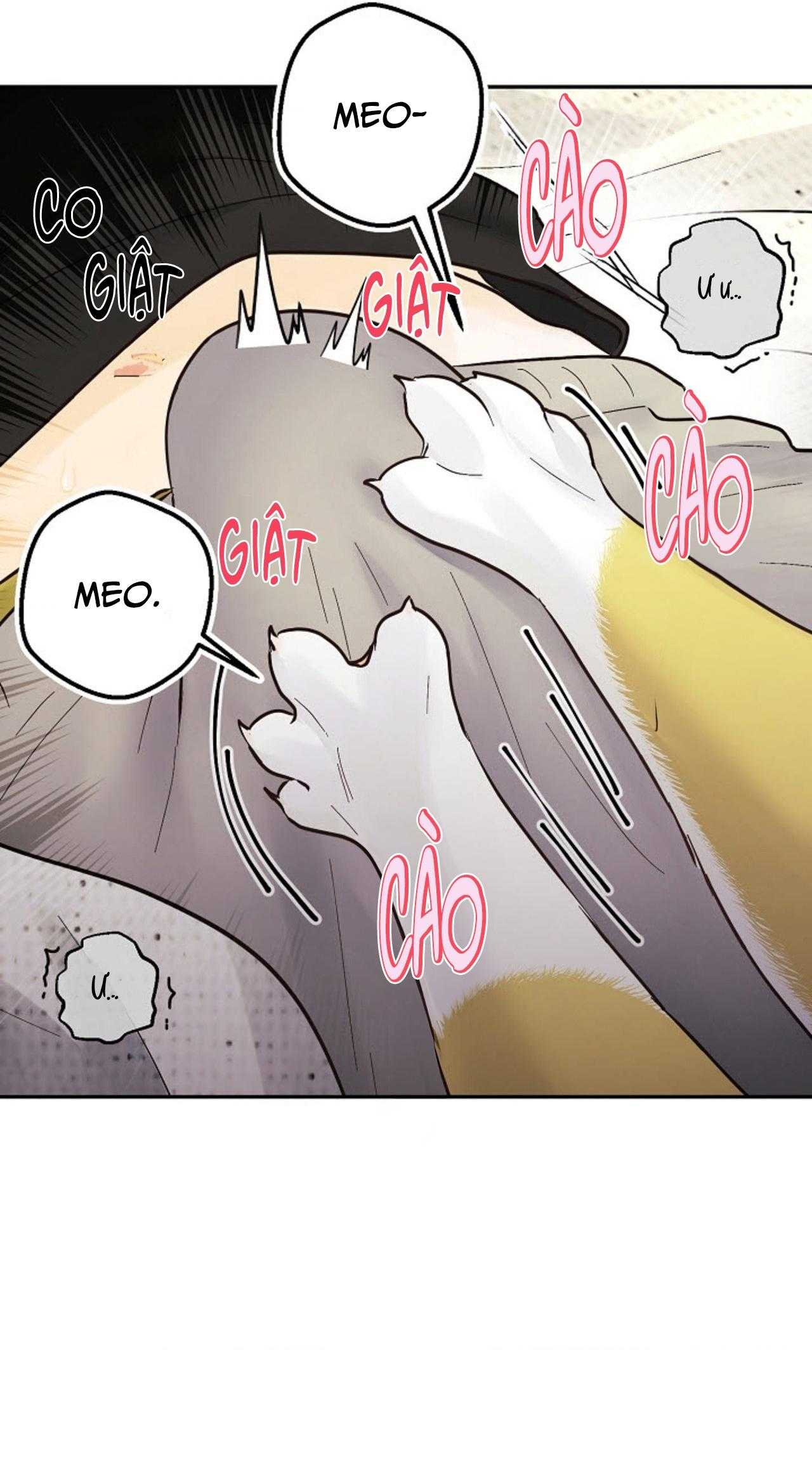 BẠN TRAI VÔ SONG CỦA TÔI Chapter 39 NT7 18++ - Trang 3