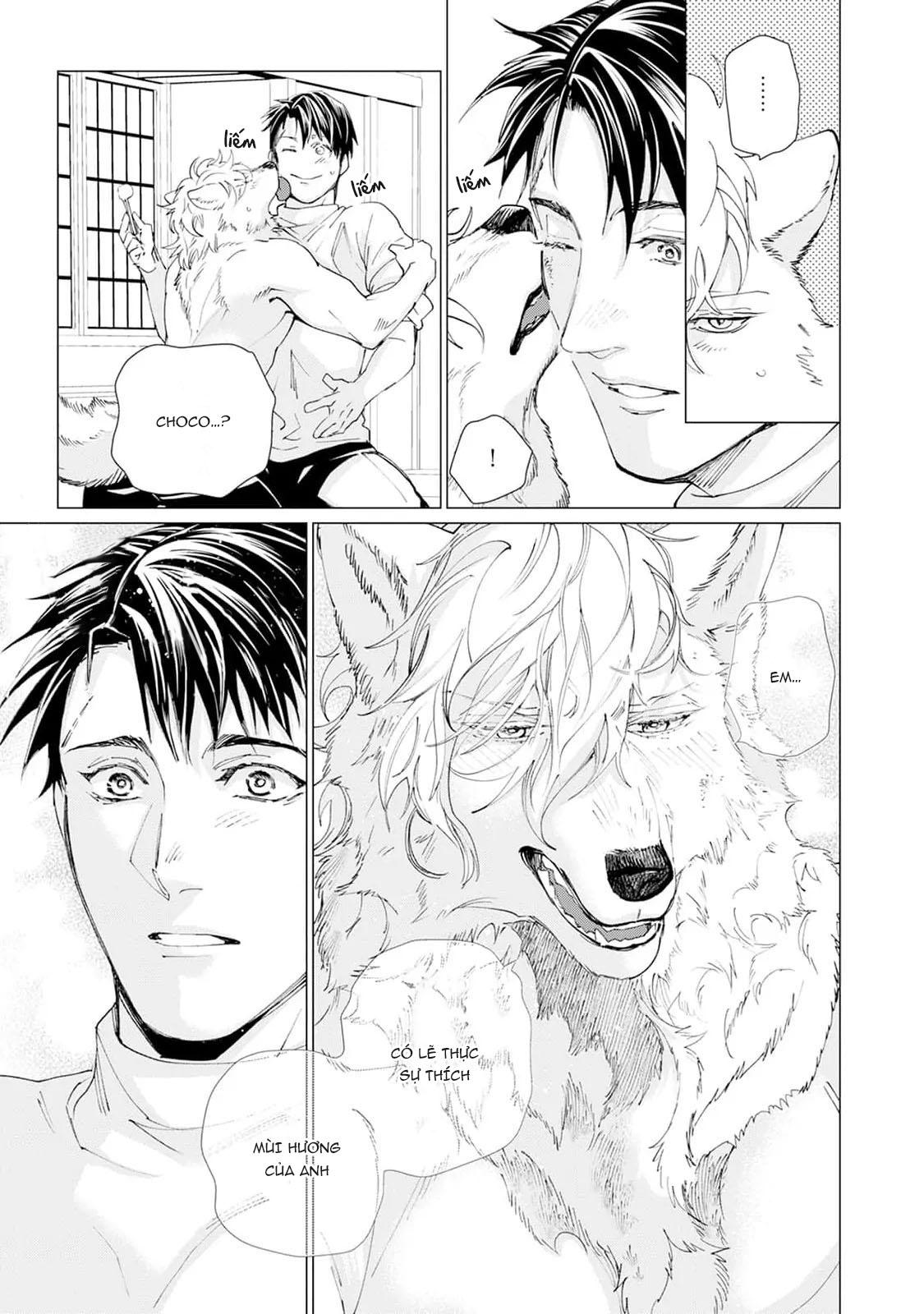 Bánh Quy Nhân Socola Chapter 3 - Next 