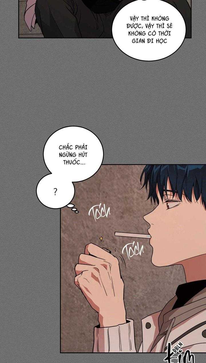 BÁNH QUY TÌNH YÊU TAN CHẢY Chapter 37 - Trang 3