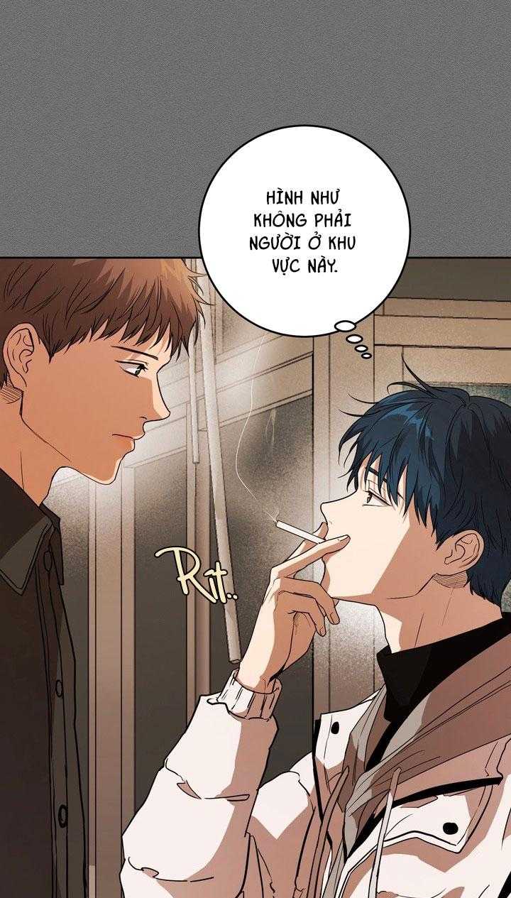 BÁNH QUY TÌNH YÊU TAN CHẢY Chapter 37 - Trang 3