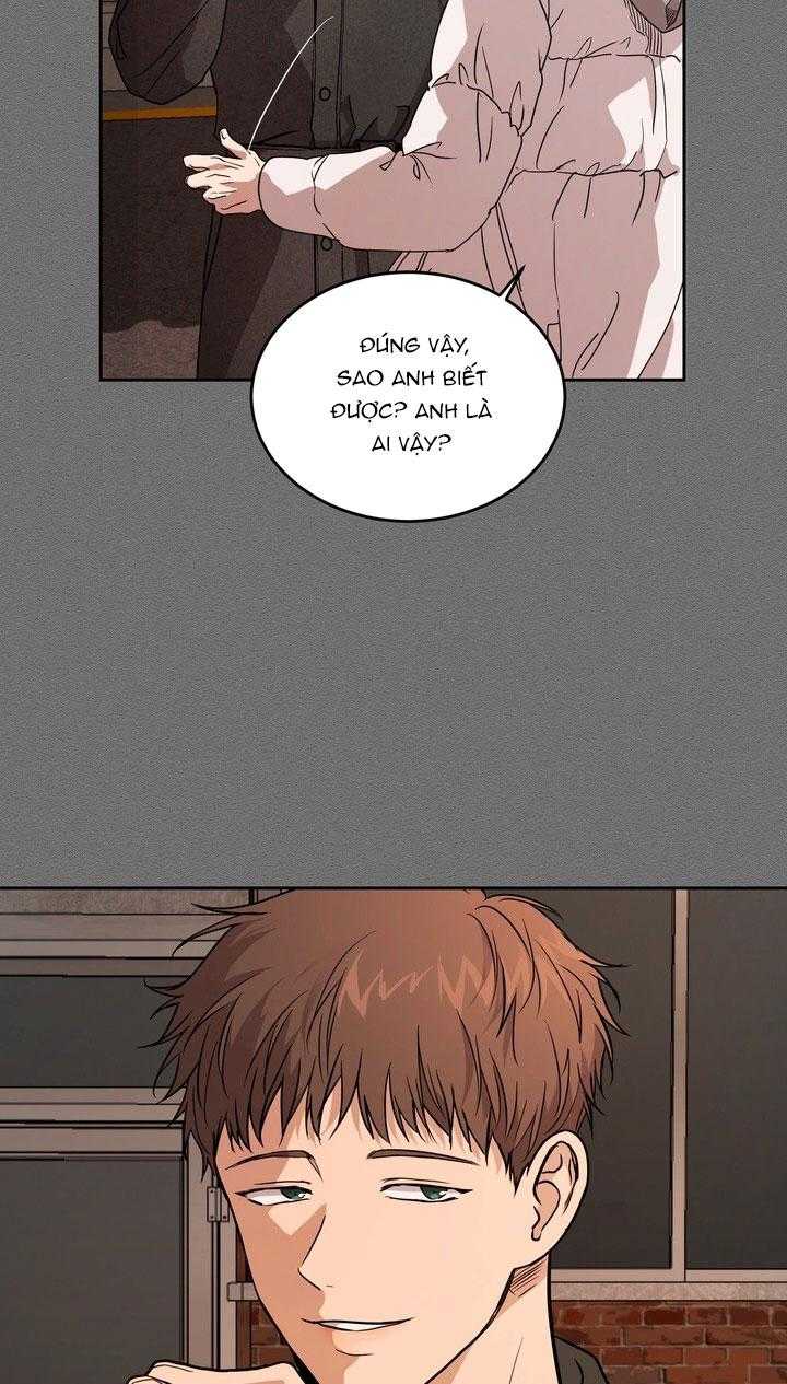 BÁNH QUY TÌNH YÊU TAN CHẢY Chapter 37 - Trang 3