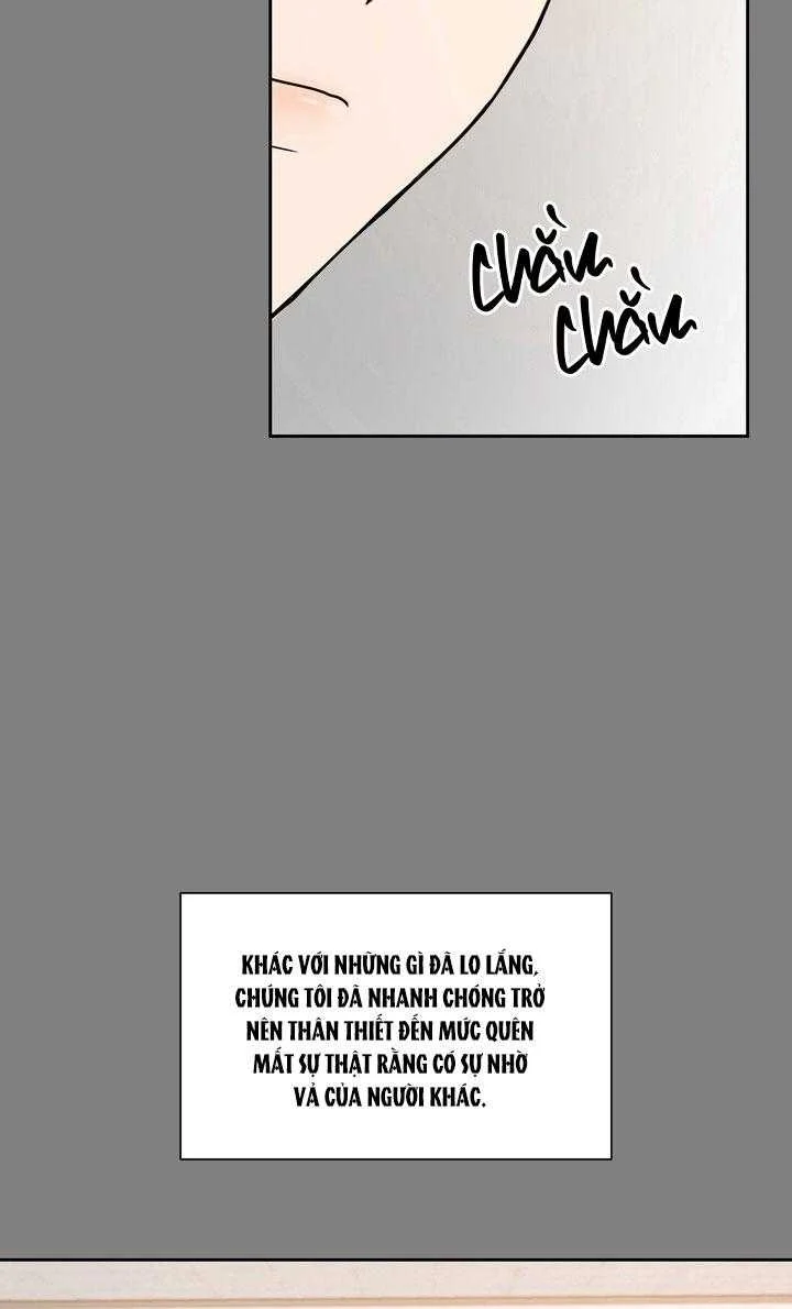 BÁNH QUY TÌNH YÊU TAN CHẢY Chapter 37 - Trang 3