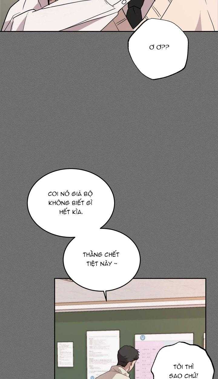 BÁNH QUY TÌNH YÊU TAN CHẢY Chapter 37 - Trang 3