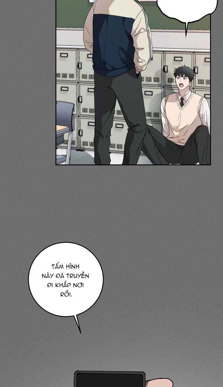 BÁNH QUY TÌNH YÊU TAN CHẢY Chapter 37 - Trang 3