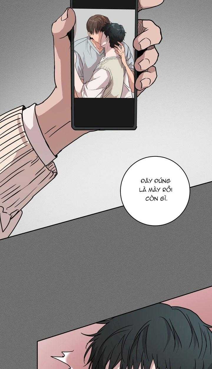 BÁNH QUY TÌNH YÊU TAN CHẢY Chapter 37 - Trang 3
