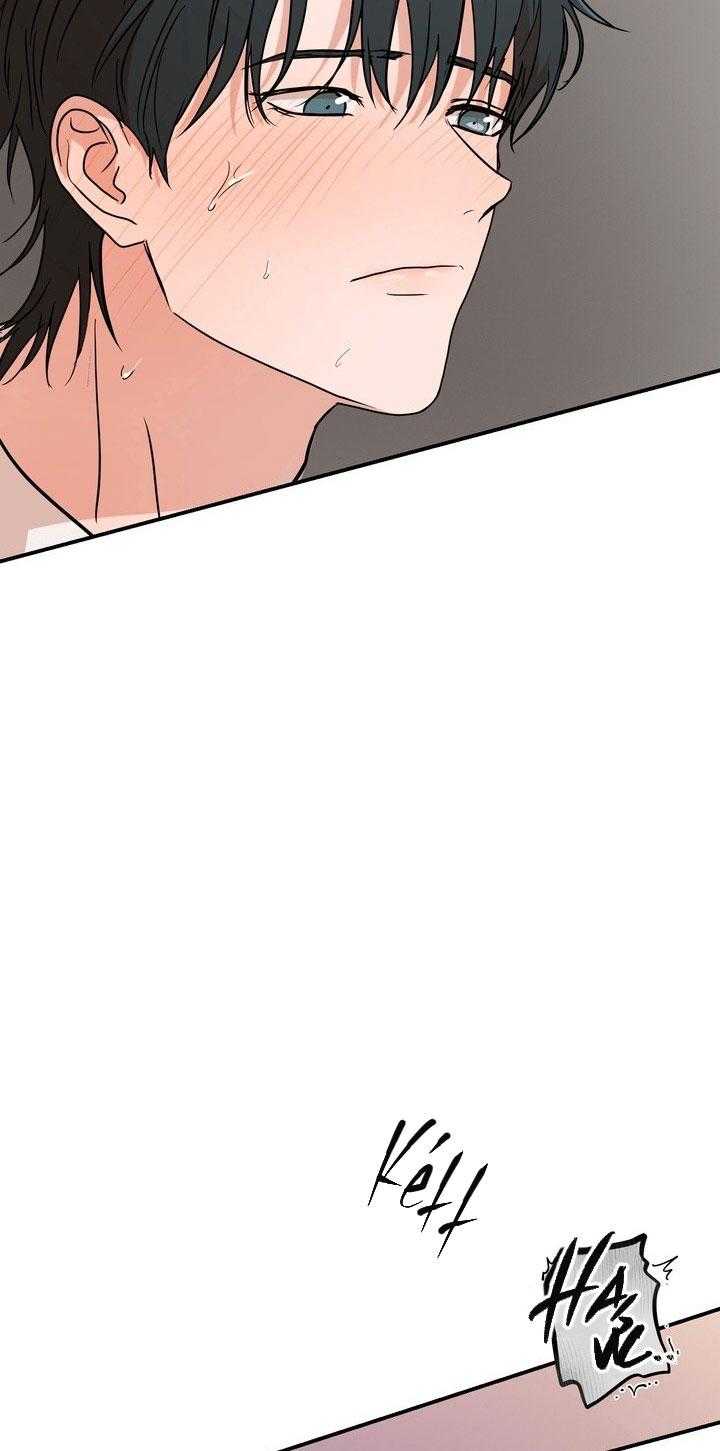 BÁNH QUY TÌNH YÊU TAN CHẢY Chapter 38 - Trang 3