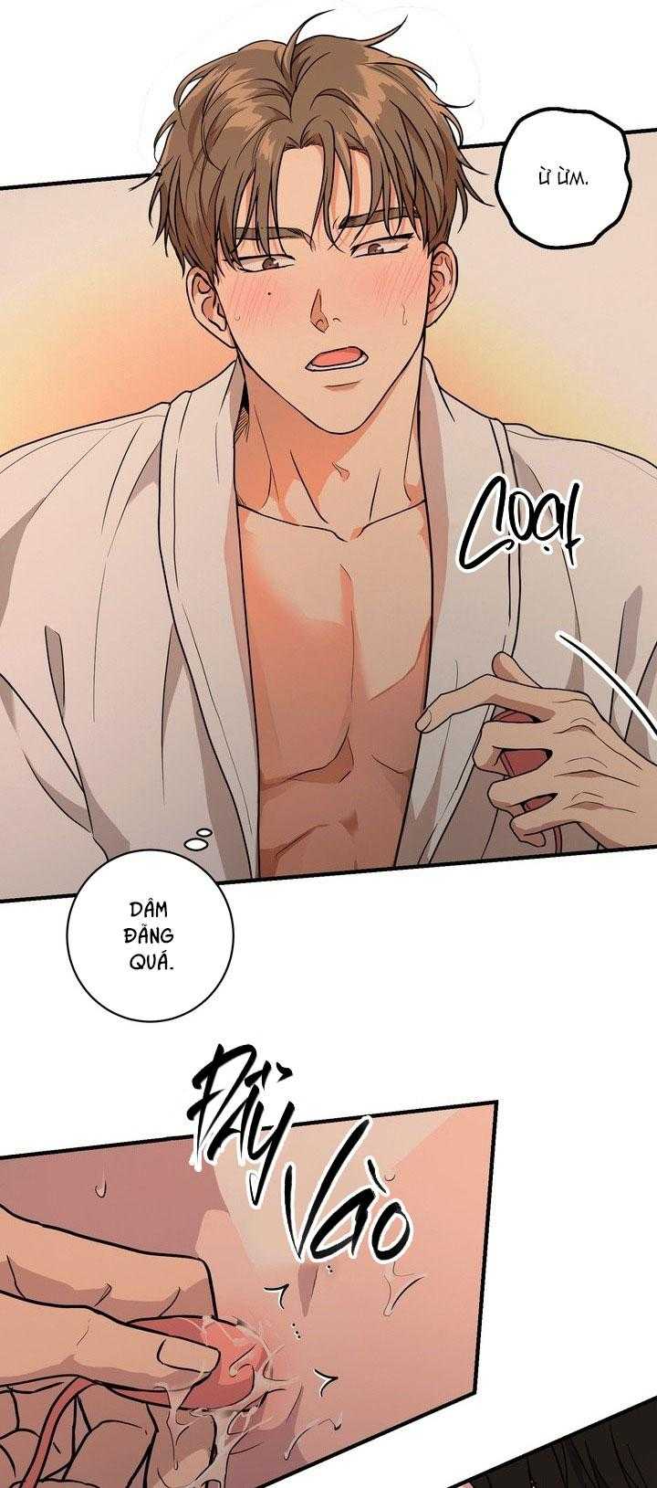 BÁNH QUY TÌNH YÊU TAN CHẢY Chapter 41 - Trang 3