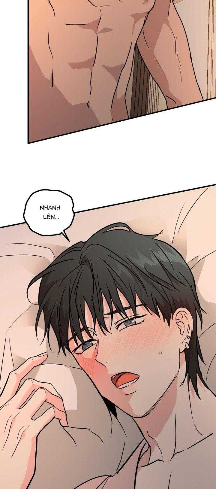 BÁNH QUY TÌNH YÊU TAN CHẢY Chapter 41 - Trang 3