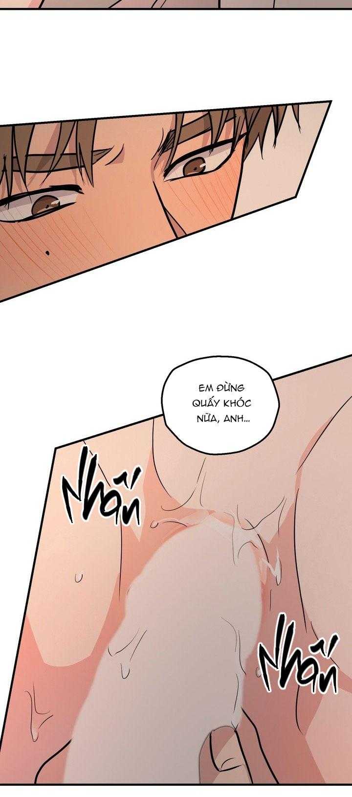 BÁNH QUY TÌNH YÊU TAN CHẢY Chapter 41 - Trang 3