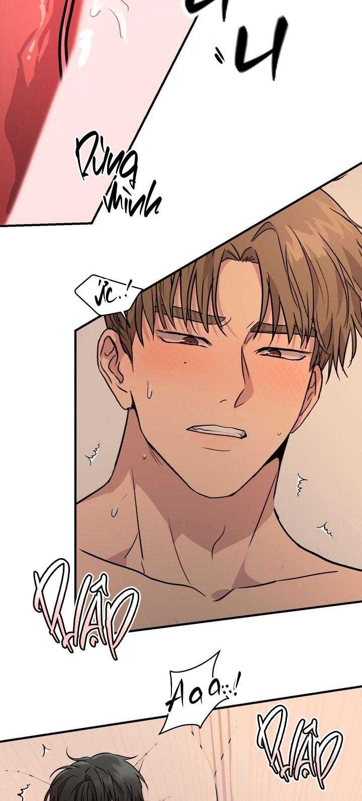 BÁNH QUY TÌNH YÊU TAN CHẢY Chapter 41 - Trang 3