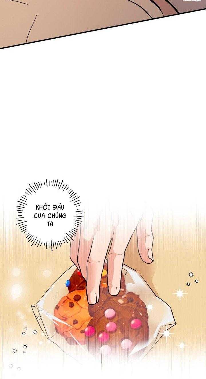 BÁNH QUY TÌNH YÊU TAN CHẢY Chapter 41 - Trang 3