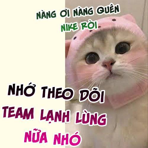 Bạo Quân Khát Máu Hóa Ra Là Chồng Cũ Của Tôi Chapter 7 - Next Chapter 8