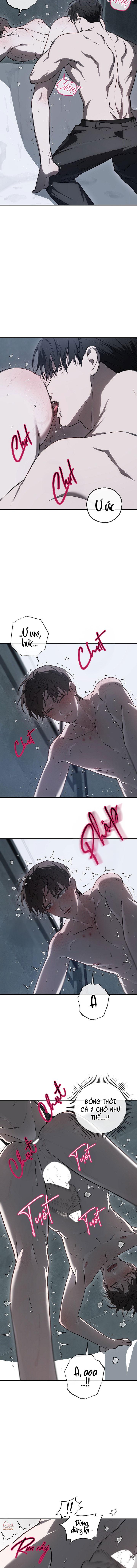 BẢO VẬT Chapter 32 - Trang 3