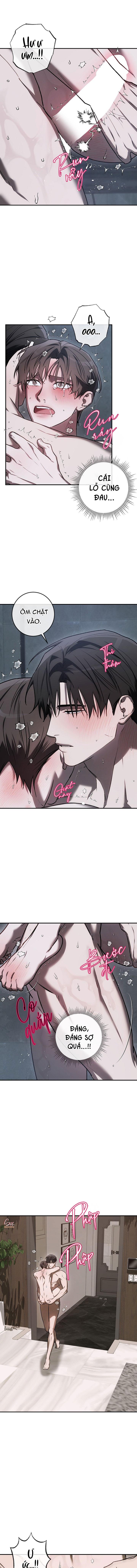 BẢO VẬT Chapter 33 - Trang 3