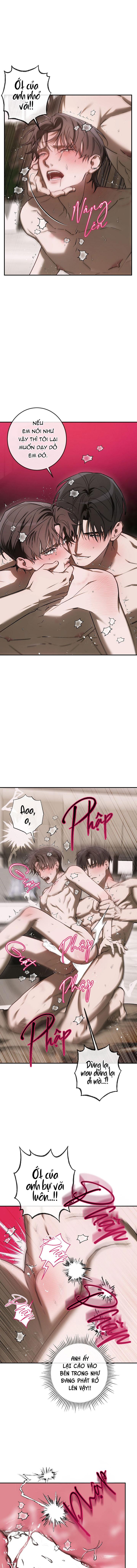 BẢO VẬT Chapter 33 - Trang 3