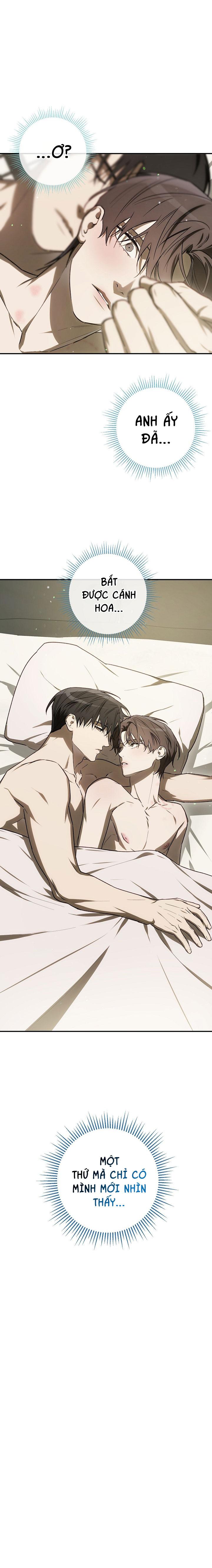 BẢO VẬT Chapter 33 - Trang 3