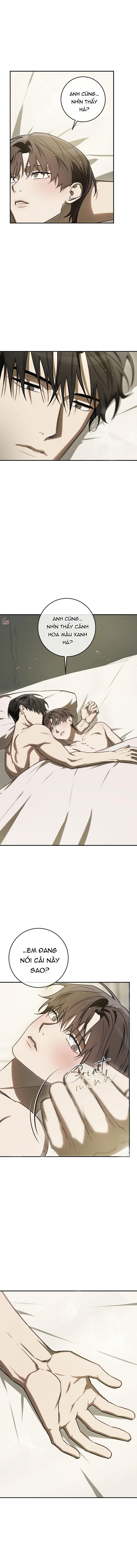 BẢO VẬT Chapter 34 - Trang 3