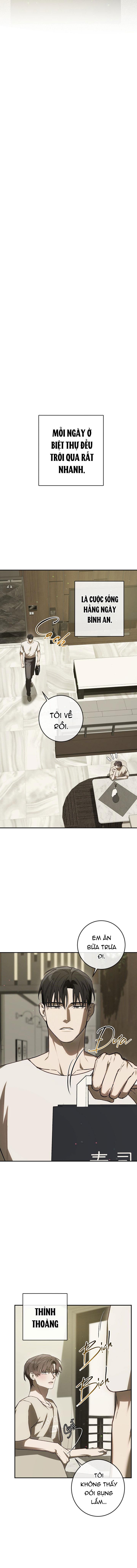 BẢO VẬT Chapter 34 - Trang 3
