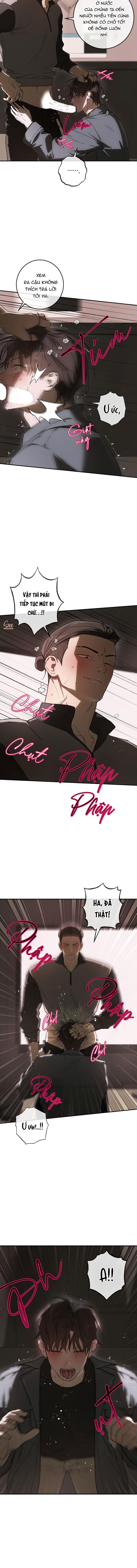 BẢO VẬT Chapter 38 2