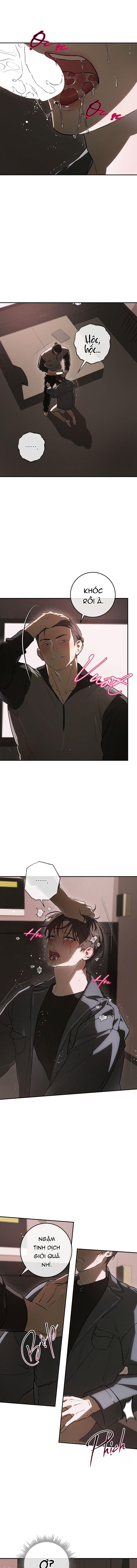 BẢO VẬT Chapter 38 3