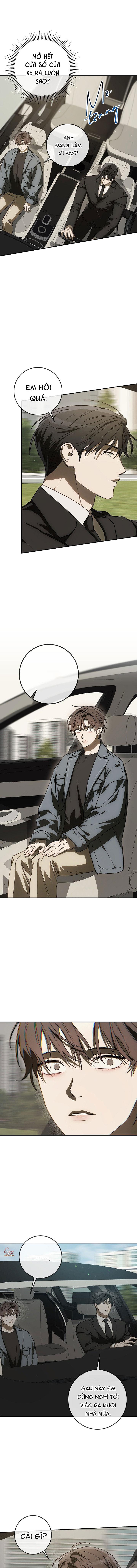 BẢO VẬT Chapter 38 11