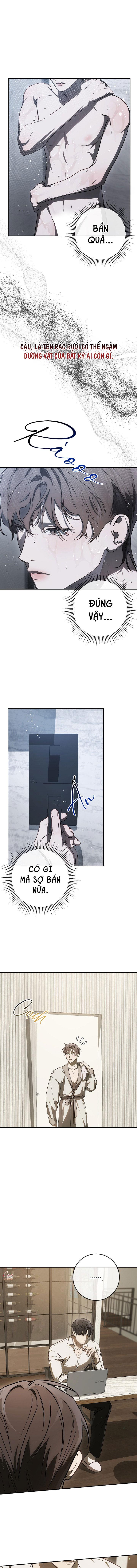 BẢO VẬT Chapter 39 1