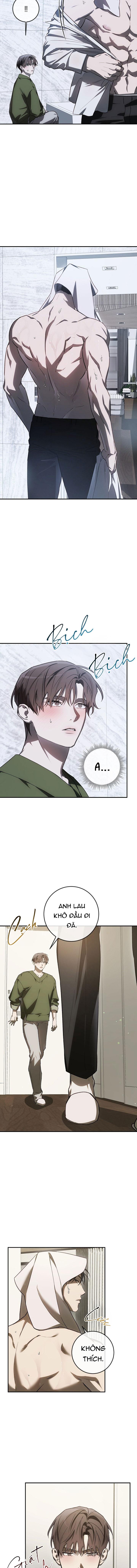 BẢO VẬT Chapter 39 6