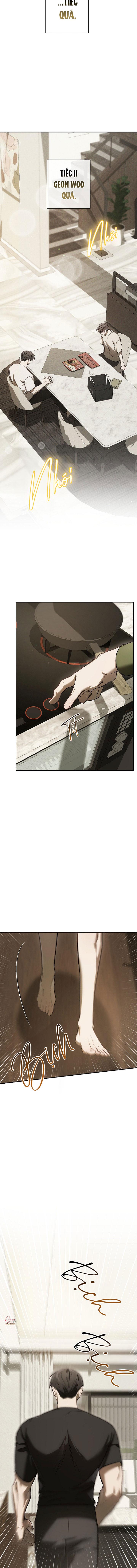 BẢO VẬT Chapter 39 13