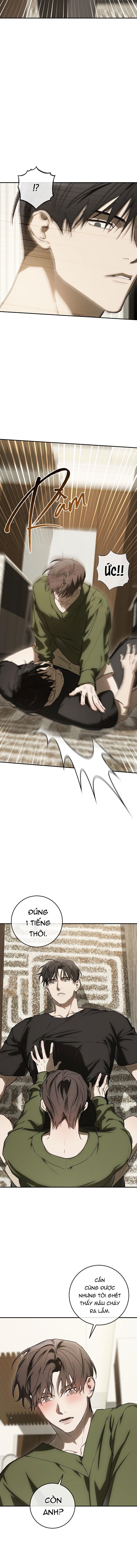 BẢO VẬT Chapter 39 14