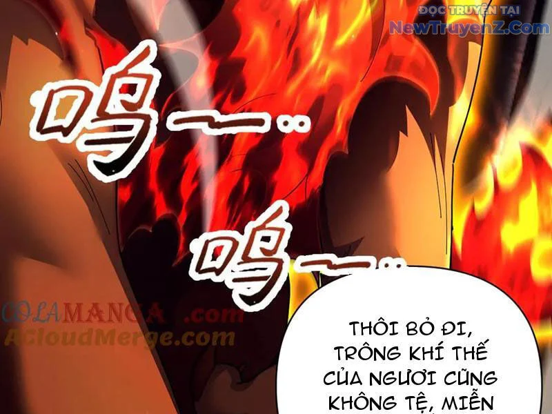 Bắt Đầu Chấn Kinh Nữ Đế Lão Bà, Ta Vô Địch! Chapter 76 - Trang 2