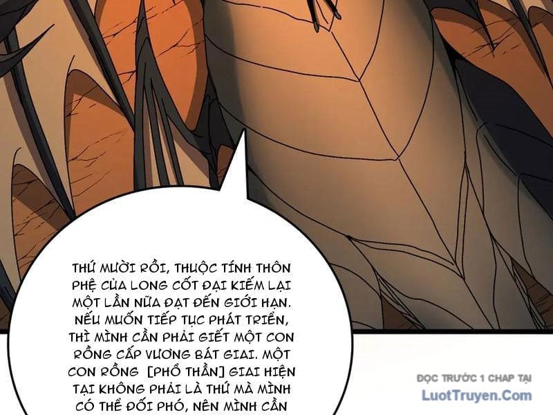 Bắt Đầu Kế Nhiệm Boss Hắc Long, Ta Vô Địch Chapter 81 - Trang 3