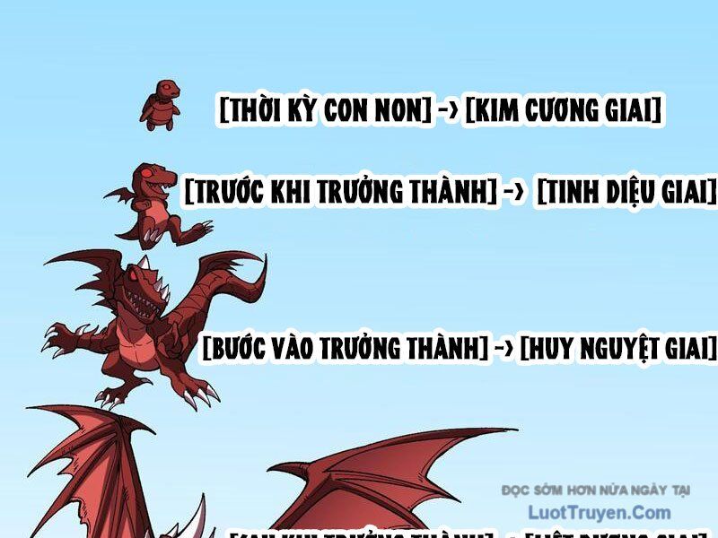Bắt Đầu Kế Nhiệm Boss Hắc Long, Ta Vô Địch Chapter 82 - Trang 2
