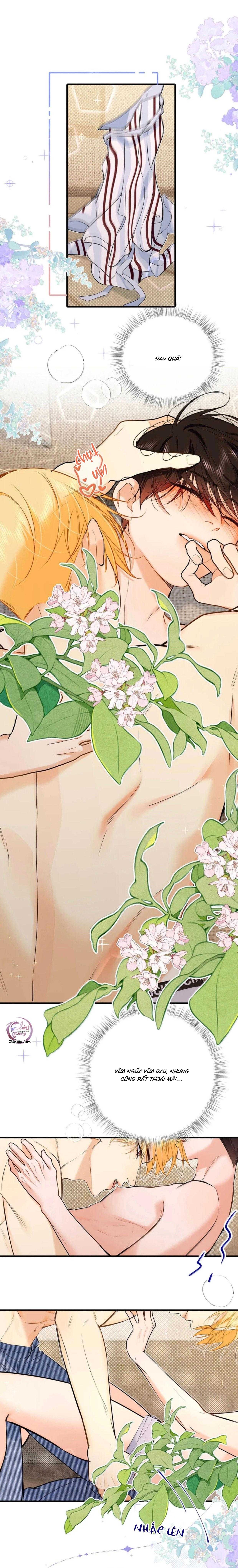 Bắt Đầu Làm Bạn Trai Từ Số 0 Chapter 57 - Trang 3