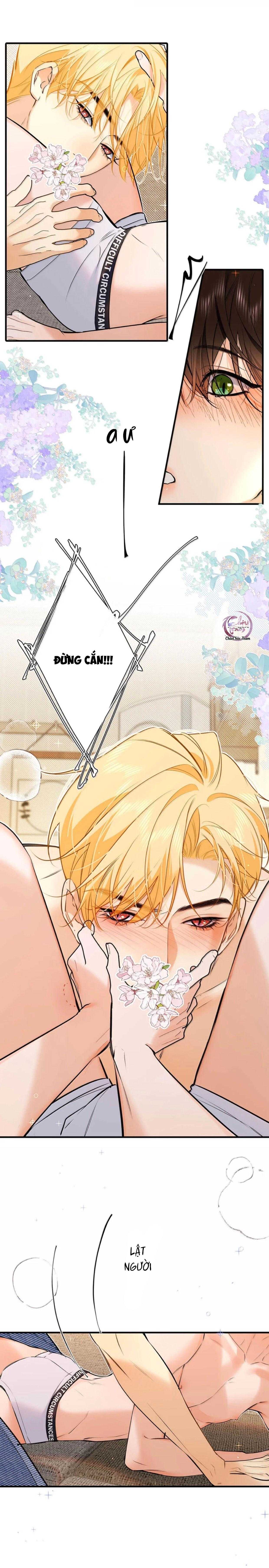 Bắt Đầu Làm Bạn Trai Từ Số 0 Chapter 57 - Trang 3