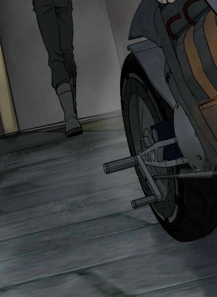 Bắt Đầu Từ Cửu Đầu Điểu Chapter 133 - Trang 4