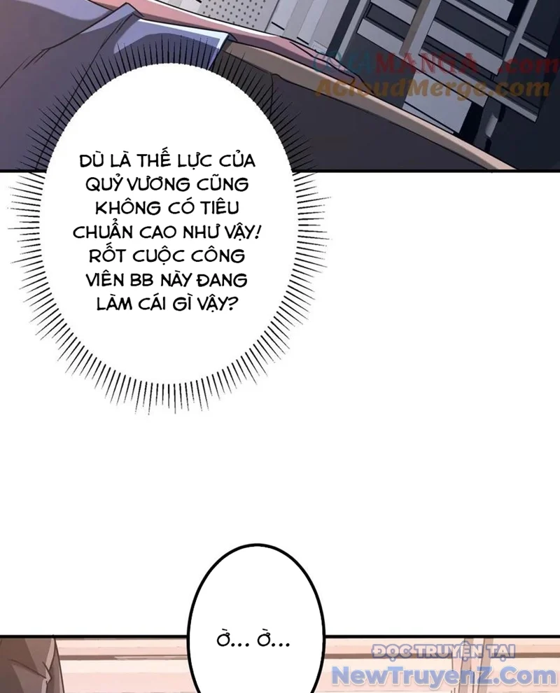 Bắt Đầu Với Trăm Vạn Minh Tệ Chapter 243 - Trang 2