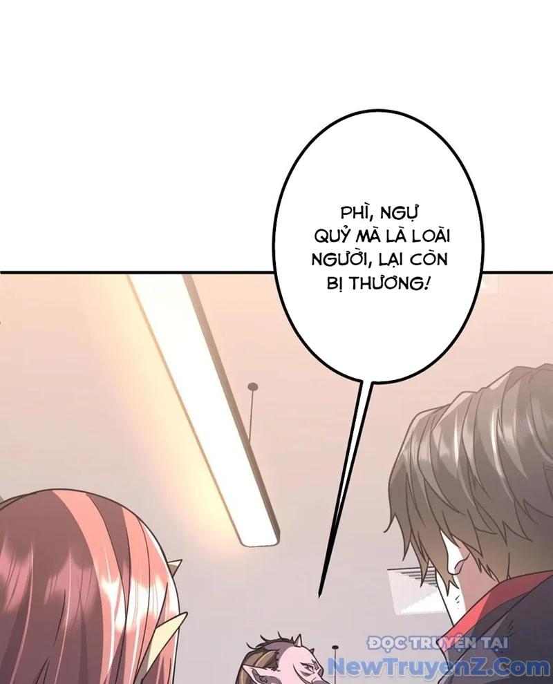 Bắt Đầu Với Trăm Vạn Minh Tệ Chapter 243 - Trang 2